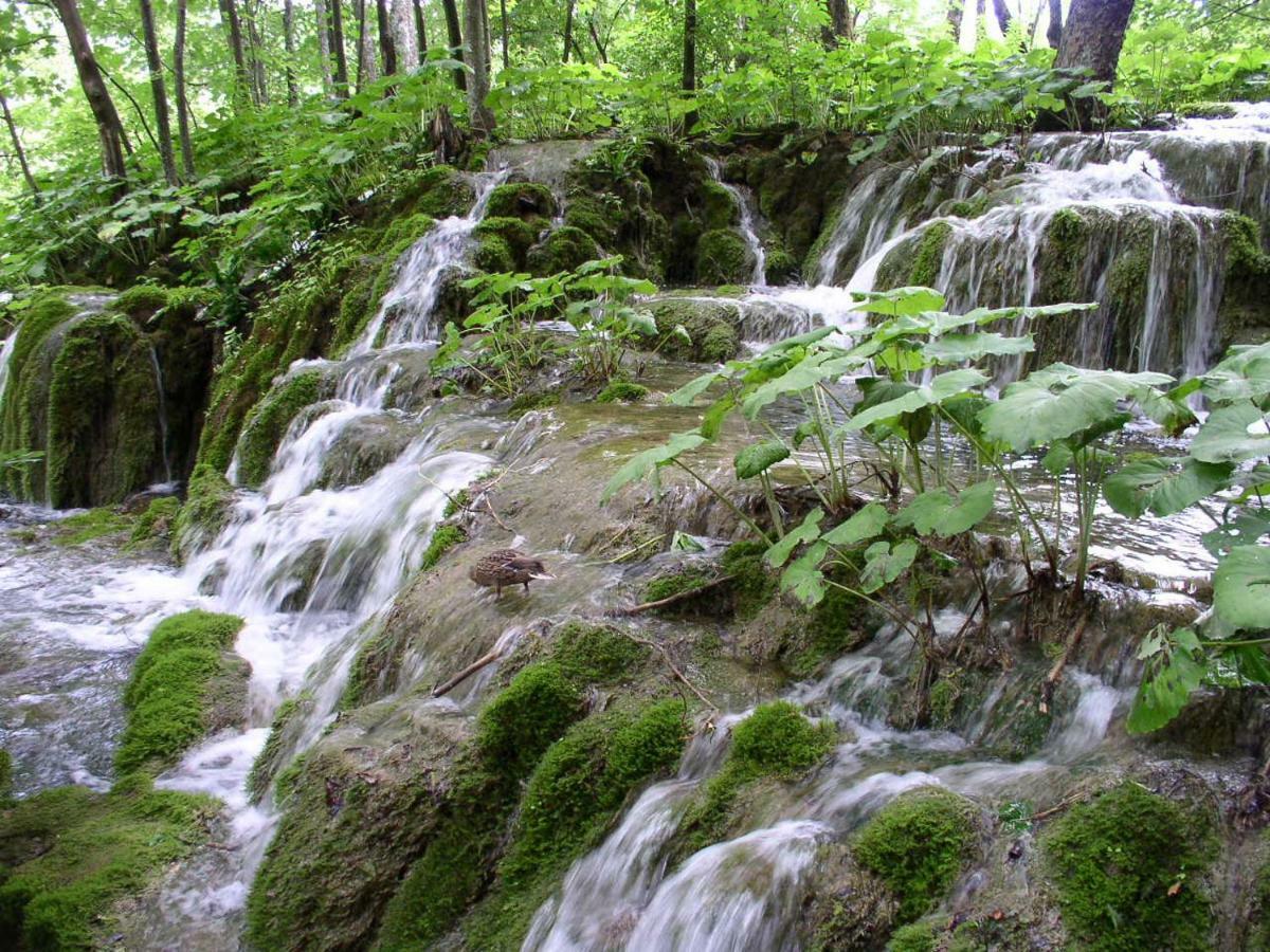 Accommodation Plitvice Кореница Экстерьер фото